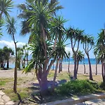 Paradise *